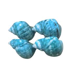 Servilleteros de concha natural hechos a mano hechos en Vietnam, servilleteros de concha de lujo listos para enviar en gran cantidad - Product Image 3