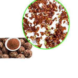 Cress | สมุนไพรครัวสด | สินค้าเกษตรอินทรีย์ - Product Image 5