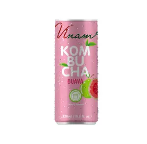 Kombucha Guava meyve suyu konserve 250ml 330ml OEM/ODM fiyat doğal Kombucha suyu içecek RTD