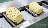 Automatische wortelgroentesnijmachine voor zoete aardappel, taro, lotuswortel en wortel
