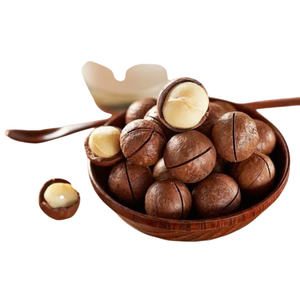 NUECES DE MACADAMIA DE VIETNAM AL POR MAYOR, FRESCAS Y CRUJIENTES, MEJOR PROVEEDOR, MEJOR PRECIO DE EXPORTACIÓN - Product Image 6