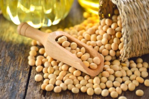 Organic IQF Frozen Yellow Soybeans Natural Drying Process Fresh and Natural Bulk Packaging <b>Product</b> - Product Image 3