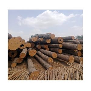 Troncos de madera Meranti de calidad de exportación: aserrados, cepillados y secados al horno - Product Image 1