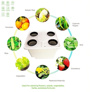 Seau hollandais pour la culture hydroponique des tomates, système hydroponique de haute qualité pour la culture de tomates - Product Image 3
