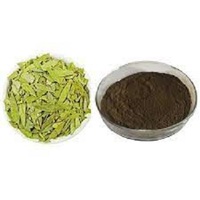 Herbe senna sennosides a b sennoside laxatifs senna feuilles extrait sennosides senna feuille extrait poudre
