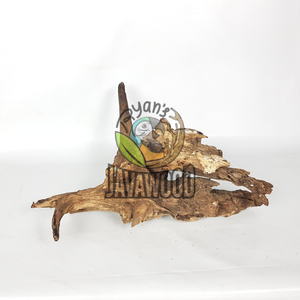 Racines de bois flotté de qualité supérieure pour décorations d'aquarium et bonsaïs d'Indonésie - Product Image 3