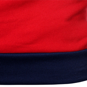 Sweat à capuche pour hommes OEM 50 coton 50 polyester manches longues couleurs imprimées pulls à capuche vente en gros de vêtements d'hiver personnalisés - Product Image 6