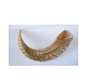 Shofar de Cuerno de Cabra Hecho a Mano, Bien Pulido, Precio al por Mayor, Cuerno de Carnero Natural, Shofar con el Mejor Acabado, Hecho a Mano - Product Image 6