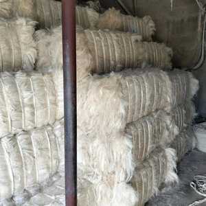 Fibra de Sisal de Alta Calidad de Tanzania, Grado UG 90-120cm, Material de Relleno Antibacteriano y Ecológico - Product Image 3