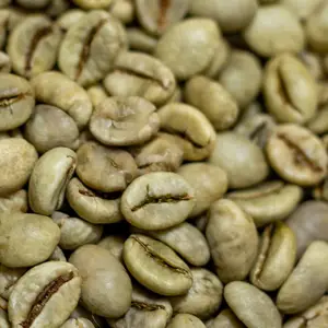 100% вьетнамский оригинальный ROBUSTA зеленый кофе в зернах с чистой/влажной полированной обработкой PHAN + 84349964058