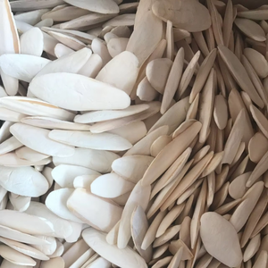 HUESO SECO DE SEPIA DE ALTA CALIDAD AL POR MAYOR PARA MASCOTAS Y REPTILES - Product Image 5