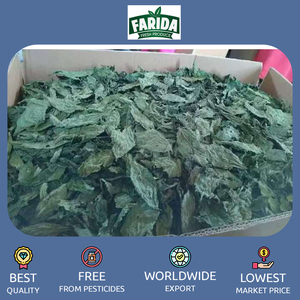 Hojas de Molokhia/enteras/trituradas/en polvo a precio a granel, especias y hierbas individuales superventas de exportación de origen egipcio de calidad estándar - Product Image 6