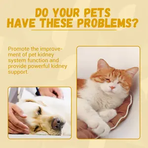 Gotas Naturales OEM/ODM para la Desintoxicación Urinaria y el Apoyo Renal para <span class=keywords><strong>Gatos</strong></span> y Perros - Suplemento para la Salud de la Vejiga, Líquido Seguro para Limpiar el Sistema Renal - Product Image 3