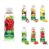 450ml fles natuurlijk fruitsap OEM ODM Private Label drankenfabrikant Vietnam