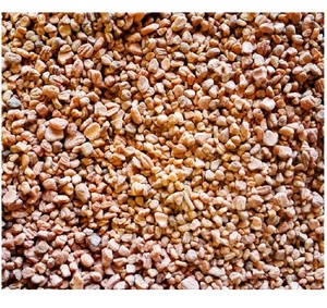 Venta al por Mayor de Núcleos de Oliva, Proveedor de Semillas de Oliva Naturales para Extracción de Combustible de Biomasa Renovable y Aplicaciones Industriales - Product Image 6