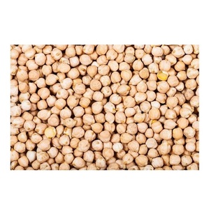 Garbanzos secos a granel de 9mm/10mm/11mm/12mm, sin OMG, ricos en proteínas - Product Image 2