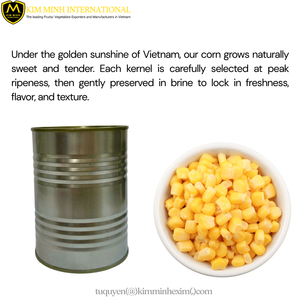 Frutos de maíz dulce pelado en salmuera de Vietnam conservados con sal, suministro OEM al por mayor - Product Image 3