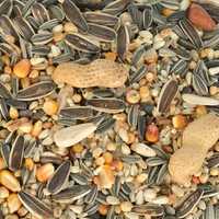 Mélange de graines pour oiseaux bio riches en protéines pour perruches et perroquets - Millet jaune, soutien immunitaire, santé digestive, suppléments naturels