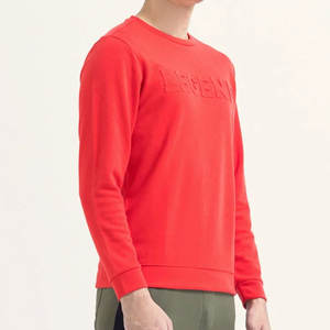 Sweat-shirt à capuche haut de gamme pour hommes Logo personnalisé 100% coton Matériel lourd pour l'hiver Vêtements unisexes pour couples - Product Image 3