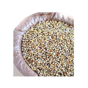 อาหารสัตว์จากข้าวฟ่างออร์แกนิก เกรดส่งออก จำหน่ายแบบปริมาณมาก แหล่งที่เชื่อถือได้ - Product Image 3