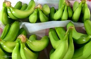 Banane fraîche tropicale vietnamienne de haute qualité et à prix raisonnable - Product Image 4