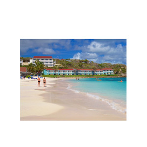 Et les projets de menuiserie commerciaux disponibles à des prix avantageux Beech Long est idéal pour la construction de portes et de cadres - Product Image 5