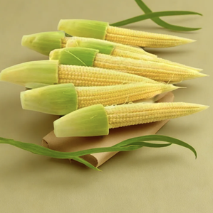 Maíz dulce amarillo de alta calidad vietnamita fresco e IQF disponible - Product Image 6