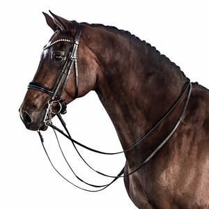 Brevet Essential Double Bridle Seasonal Old Snake certifié ISO 9001 personnalisable sur demande expédition en gros sur mesure - Product Image 6