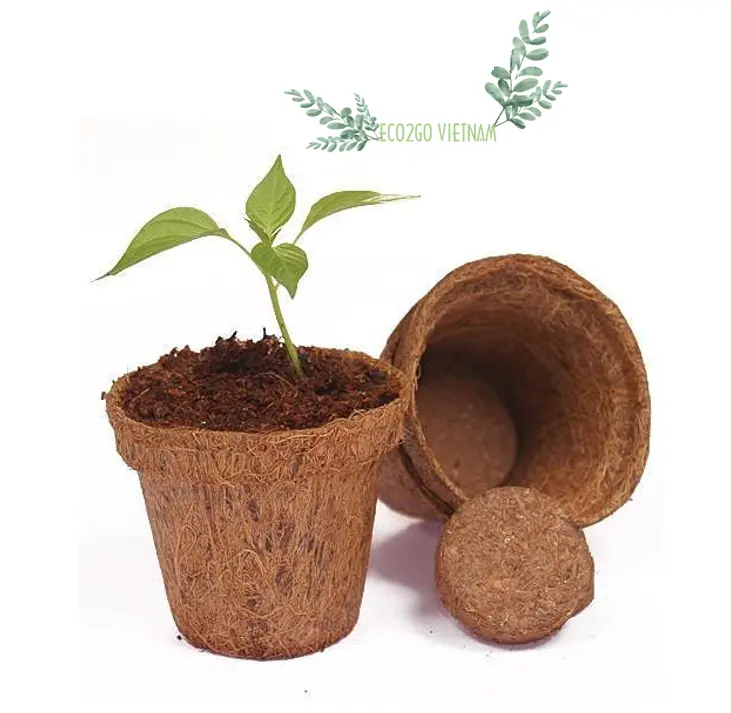 Top handgemachte Vietnam Kokosnuss faser Topf/Kokosnuss Blumentopf/Kokosnuss Pflanzen Topf Hochwertiges Material und benutzer definierte Größe von Eco2go