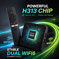 TV Box Q5 H313 Android 10 Quad Core 2GB 8GB 4K BT 5.2 IATV OS Lemon TV Player, Logotipo de Arranque Personalizado, OEM/ODM, 1 Unidad MOQ, Código Xtream
