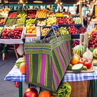 Sac de marché réutilisable en nylon recyclé tissé à la main, motif rayé, haute qualité, multi-usages, style indien tendance, fermeture éclair