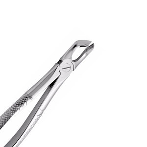Fórceps de extracción Dental de calidad de exportación No. 17 Molar inferior Acero inoxidable Mango dentado cruzado ergonómico Herramientas de cirugía dental - Product Image 6