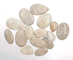 หินอัญมณีทรงหลวมและอัญมณีอัญมณีอัญมณีอัญมณีสีขาวปะการังฟอสซิลธรรมชาติทำด้วยมือขนาดตามสั่ง - Product Image 1