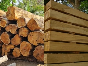Troncos de madera cruda respetuosos con el medio ambiente para aserraderos, leña y producción artesanal Suministro a granel disponible para exportación - Product Image 4