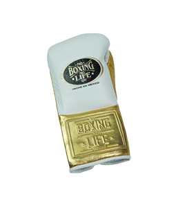 Customizable No Boxing No Life Boxing Gloves-High-quality cowhide leather,<b>thick</b> 4-layer padding,lace-up closure for martial arts - Product Image 5