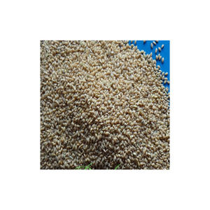 Millet jaune de haute qualité fourni en grande quantité pour les marchés d'exportation internationaux - Product Image 3