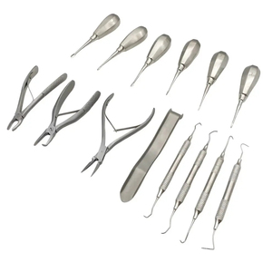 Kit de Instrumentos Dentales para Animales Pequeños, para Procedimientos Dentales Veterinarios, Manual, de Acero Inoxidable, Autoclavable, con Certificación CE - Product Image 6
