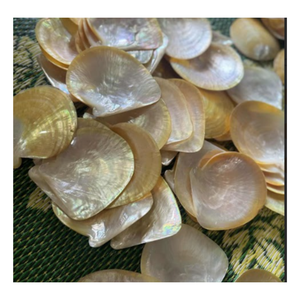 Conchas de vieira decorativas de Vietnam para bodas y mesas de eventos - Product Image 4