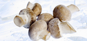 Fournisseurs de champignons surgelés de qualité supérieure du Vietnam à un prix abordable exportation en gros - Product Image 5