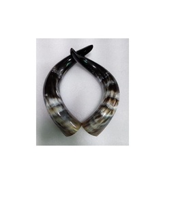 Buffalo Pair Horn Hot Selling Product Cow and Ox Pair Horn <b>for</b> <b>Home</b> and Parties Decorate Pair Horn Decor <b>for</b> Wholesale Product - Product Image 2