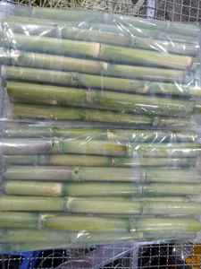 อ้อยแท่งแช่แข็งเกรดพรีเมียม GIA NGUYEN - คุณภาพสูง หวานธรรมชาติ ตงทาป ประเทศเวียดนาม - ขายส่ง อายุการเก็บรักษา 180 วัน - Product Image 5