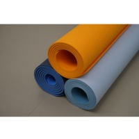 Tapis de yoga en mousse EVA TPE écologique, durable, léger, antidérapant, fournisseur OEM, protection des articulations pour la gym et le sport, imperméable, extérieur