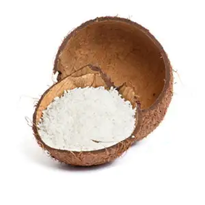 Noix de coco végétalienne desséchée à faible teneur en matières grasses, non sucrée, poudre de noix de coco bon marché, fabriqué en inde, extrait de plante, supplément de santé