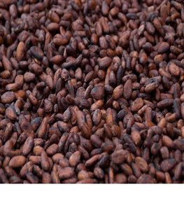 Granos de Cacao Ariba Premium, Naturales, de Primera Calidad, Procesados al Estilo Holandés, Origen Alemania - Product Image 1