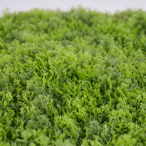 Panneaux de clôture en gazon artificiel de buis, protection UV, anti-UV, pour décoration <span class=keywords><strong>murale</strong></span> verte extérieure, en plastique, style Art Déco, solaire - Product Image 5