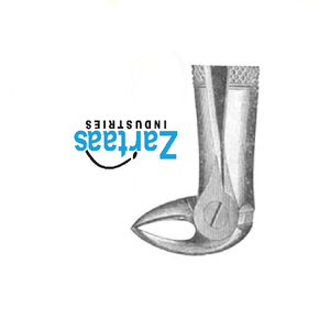 Fórceps de extracción de acero inoxidable de alta calidad Fig 34 exportadores y fabricante - Product Image 2