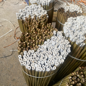 Estacas de bambú puntiagudas para una fácil inserción del suelo en campos agrícolas - Product Image 3