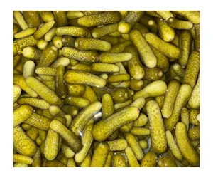 Preserved Canned Cucumber In Vinegar - Pickled Gherkins Baby Cucumbers In Brine