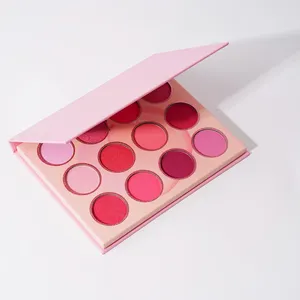 Paleta de sombras de ojos de maquillaje, 12 colores, mate, brillante, prensado, alto pigmento, fabricante OEM