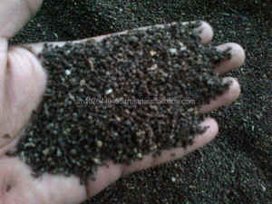 Vietnam Pinhead Poivre Noir Épicé Séché 0.5MM-2.5MM Tailles Unique Herbe En Vrac Importation Pas Cher Prix + 84 944500504 (WA) - Product Image 6